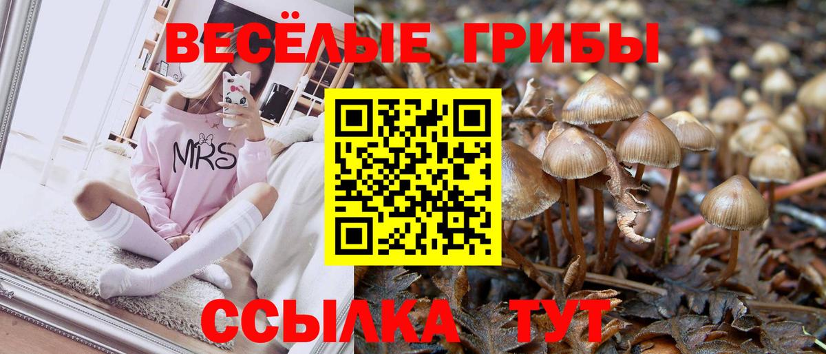 Галлюциногенные грибы Magic Shrooms  Псилоцибиновые грибы Psilocybine cubensis  Вход с VPN  как найти наркотики  Кинель 