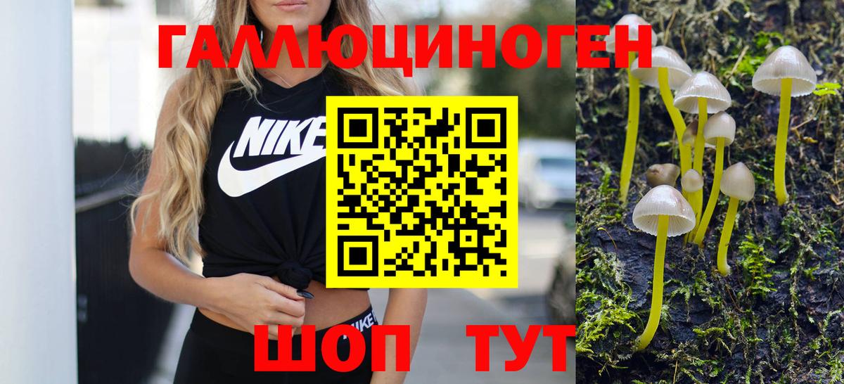 Псилоцибиновые грибы мухоморы Кинель